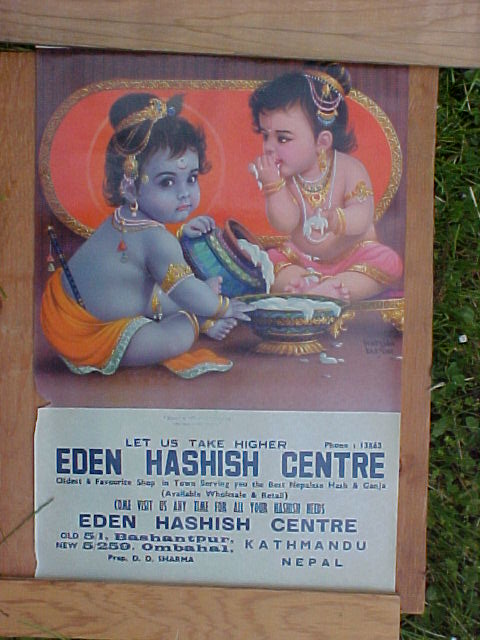 Eden Hashish